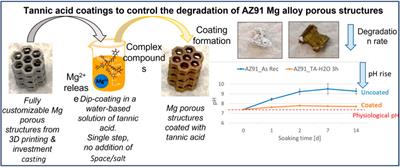 Translation of nanotechnology-based implants for orthopedic applications: current barriers and future perspective